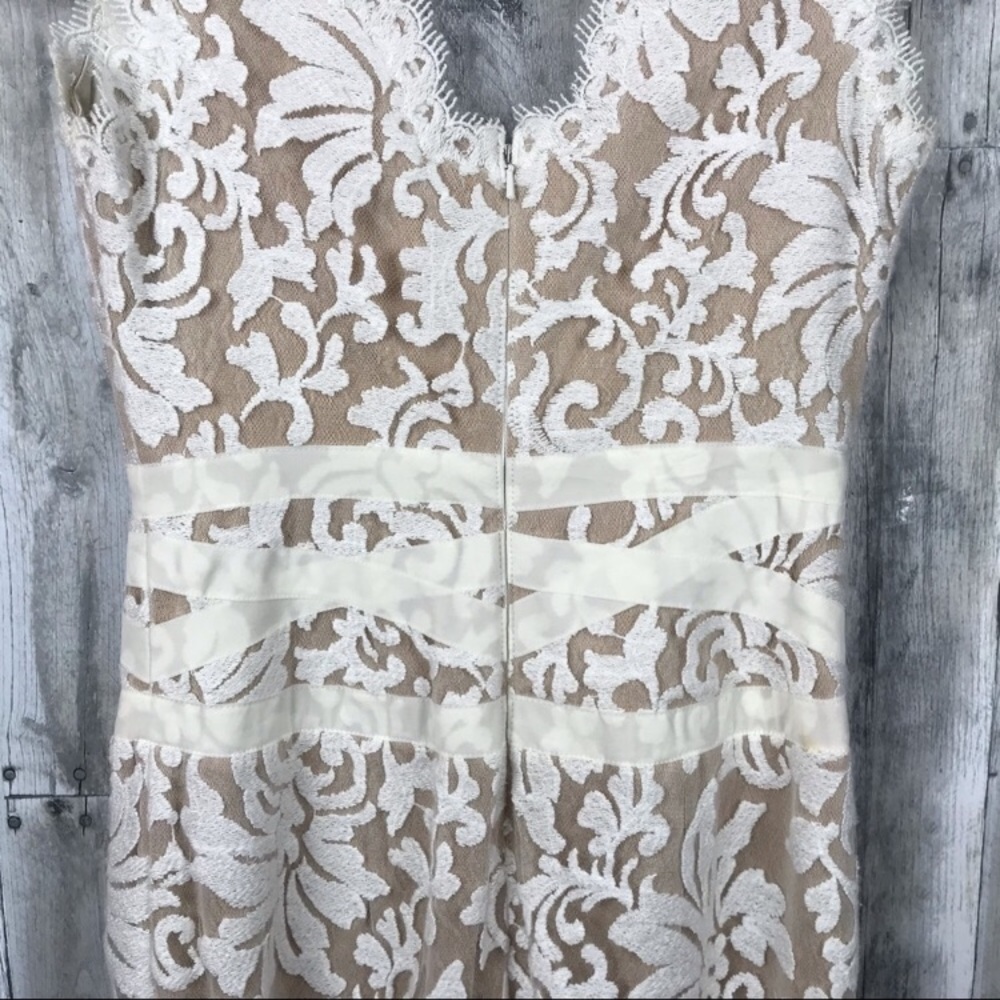 Tadashi Shoji Lace & Tulle Sheath Dress Sz 2 EUC - Picture 5 of 8